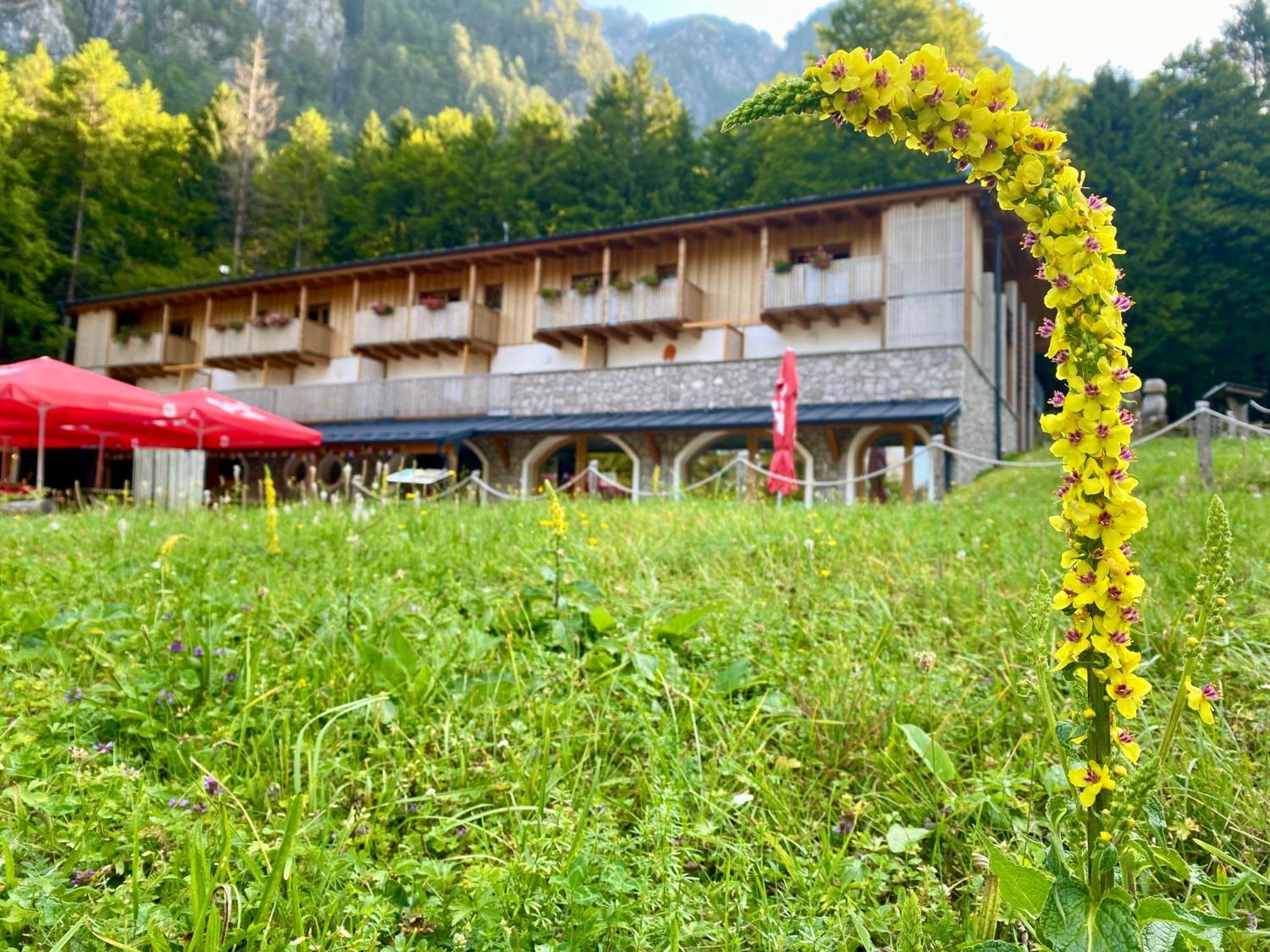Hotel Rifugio Pian Dei Ciclamini Lusevera